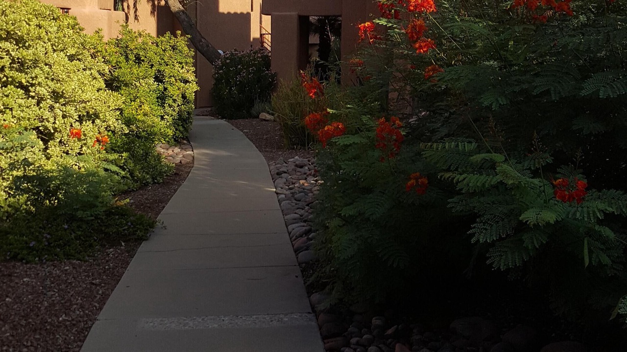 Photo of Others in Tucson