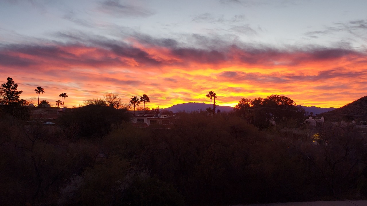 Photo of Others in Tucson