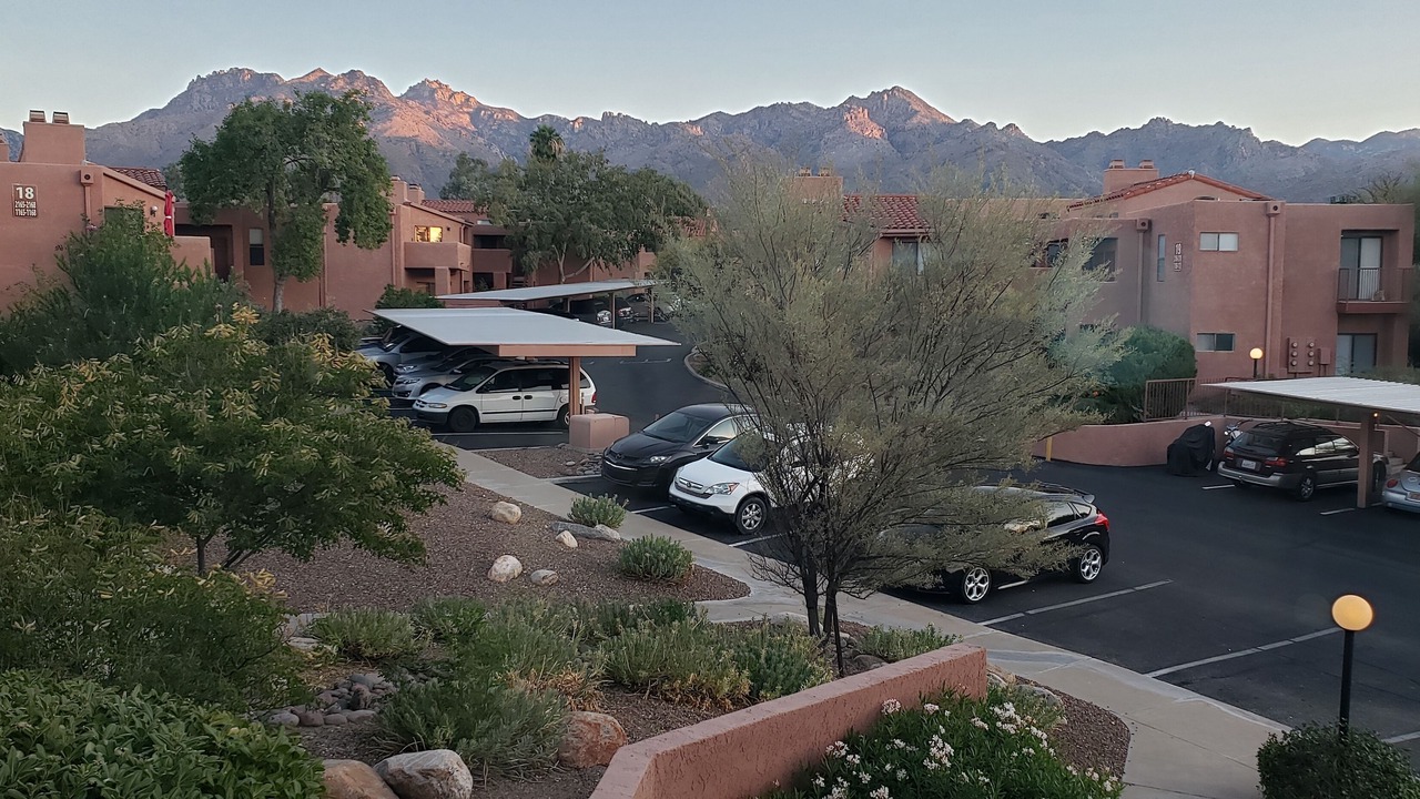 Photo of Others in Tucson