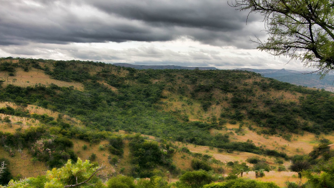 Photo of Outdoor in Endumeni