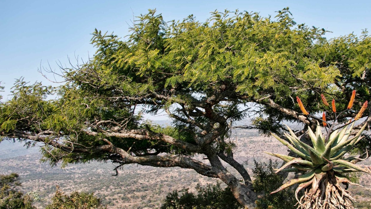 Photo of Outdoor in Endumeni