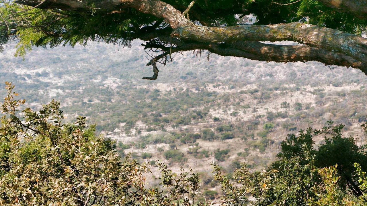 Photo of Outdoor in Endumeni