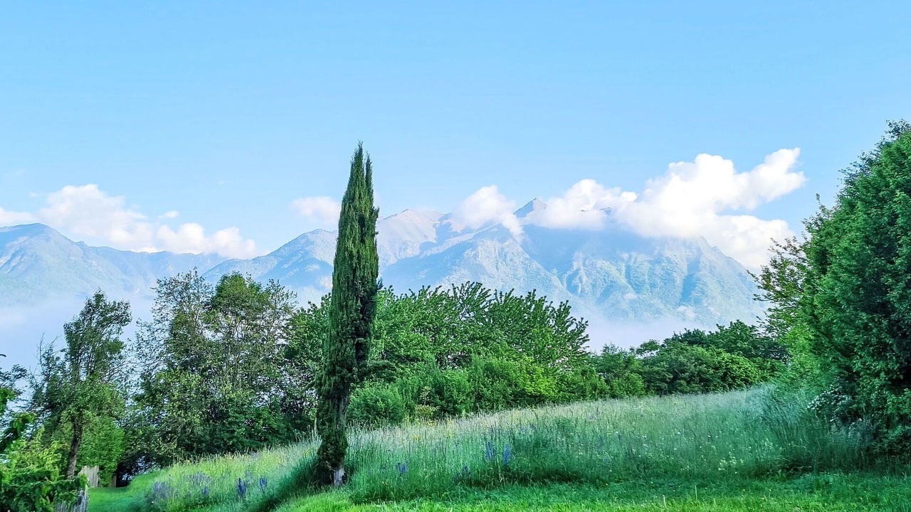 Photo of Others in Comano Terme