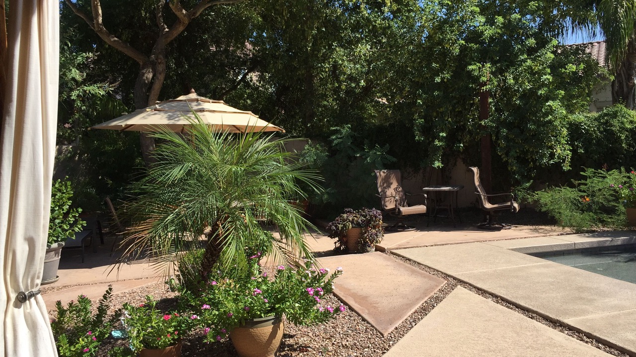 Photo of Others in Sossaman Estates