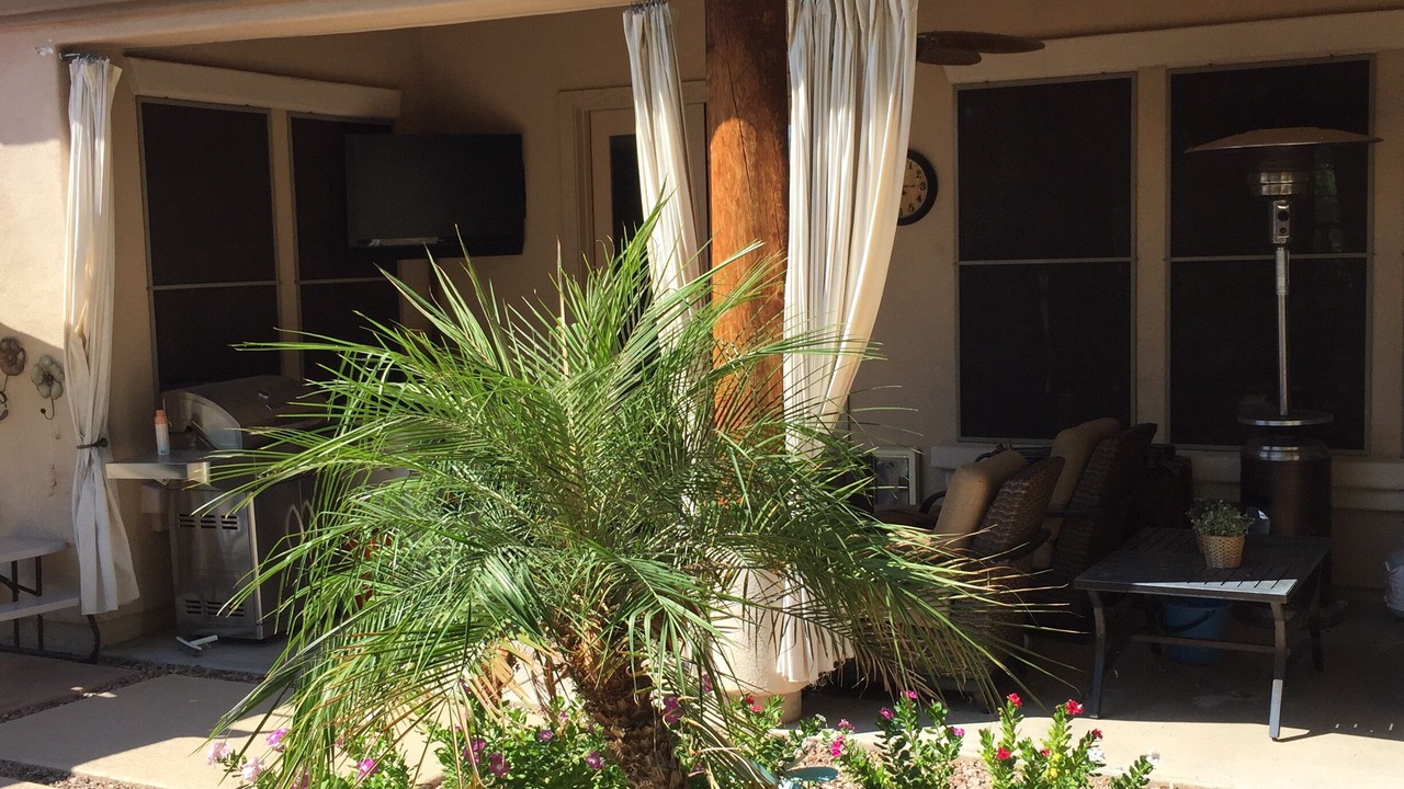 Photo of Outdoor in Sossaman Estates