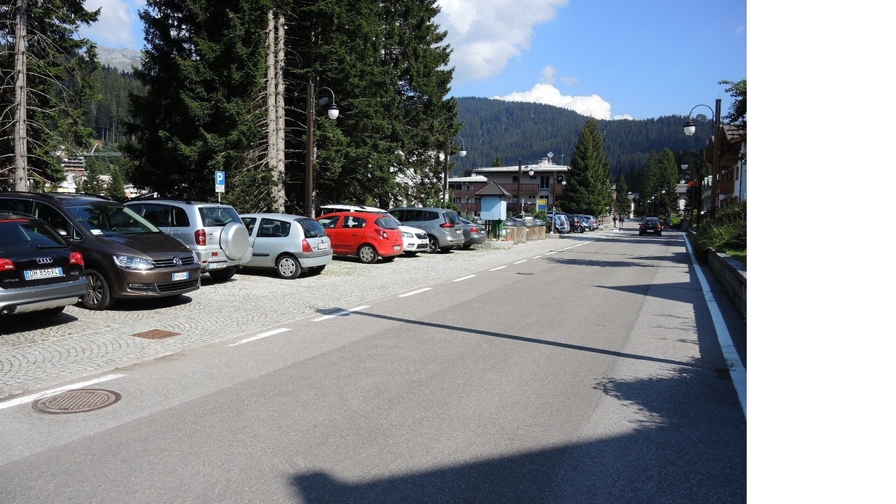 Photo of Others in Palu