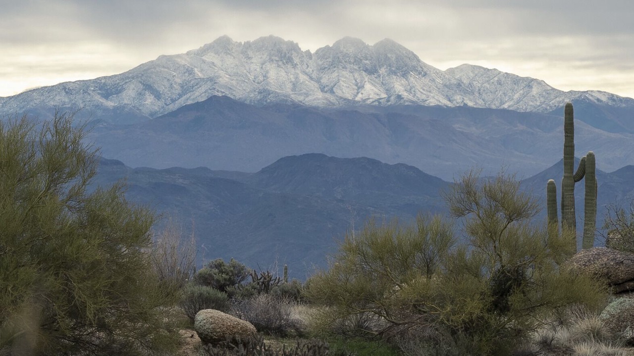 Photo of Others in Fountain Hills