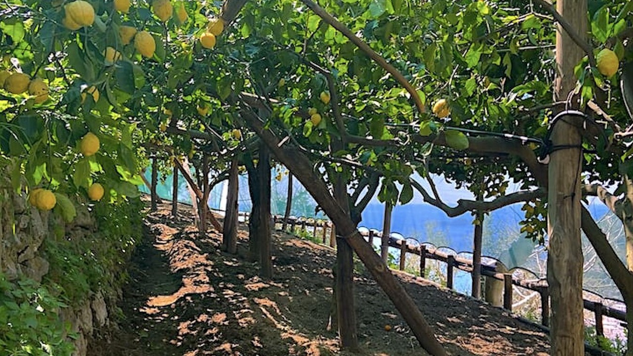 Photo of Others in Positano