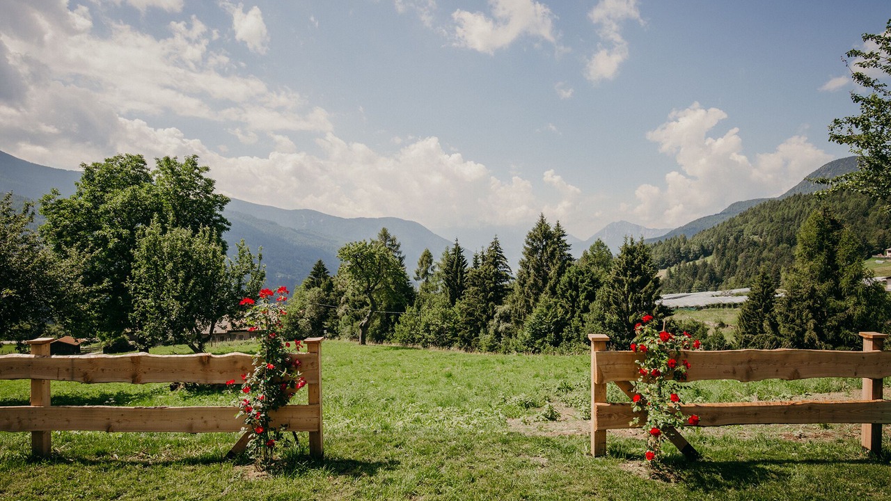 Photo of Outdoor in Sant'Orsola Terme