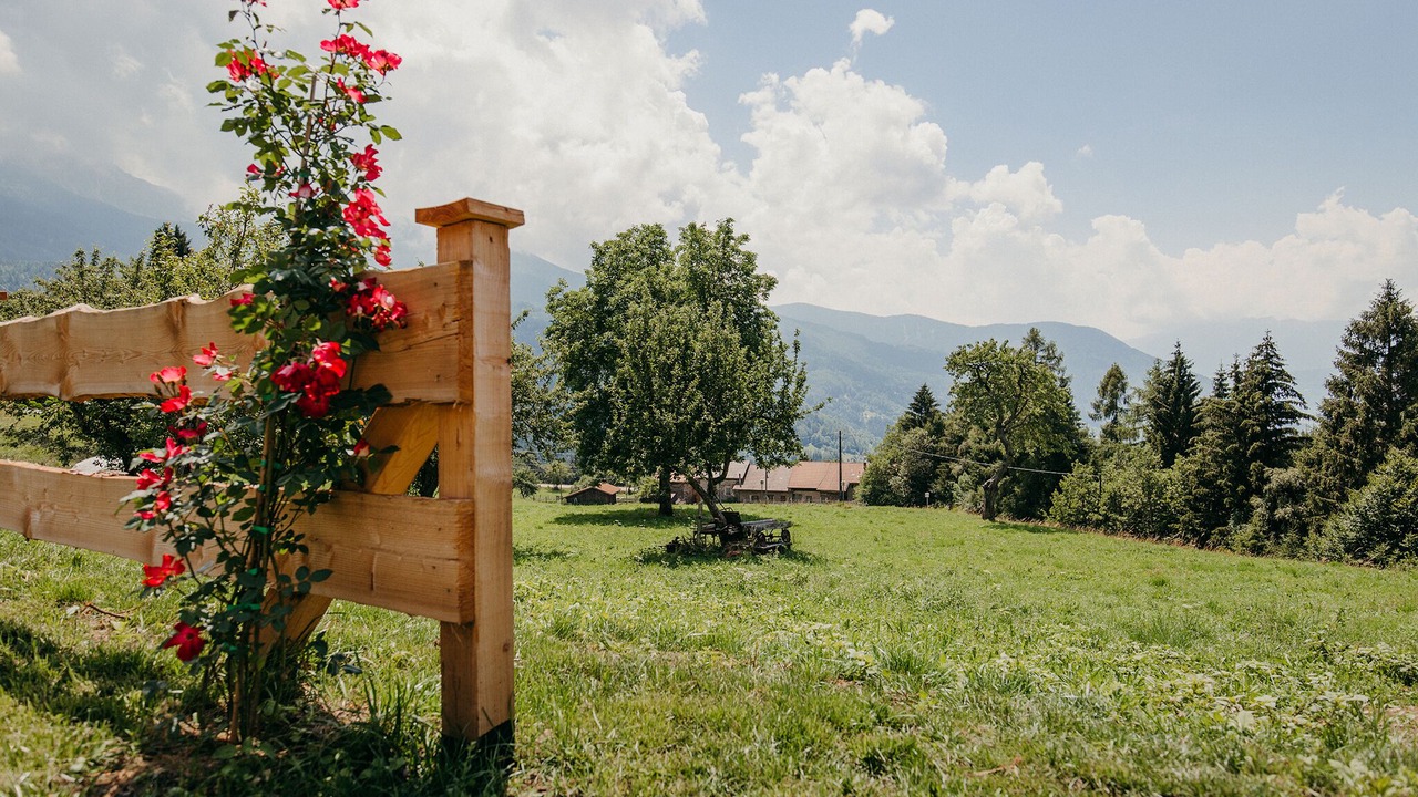 Photo of Outdoor in Sant'Orsola Terme