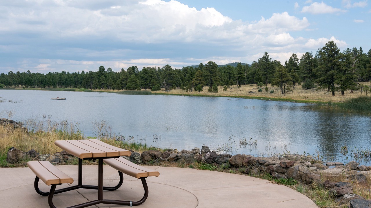 Photo of Outdoor in Williams