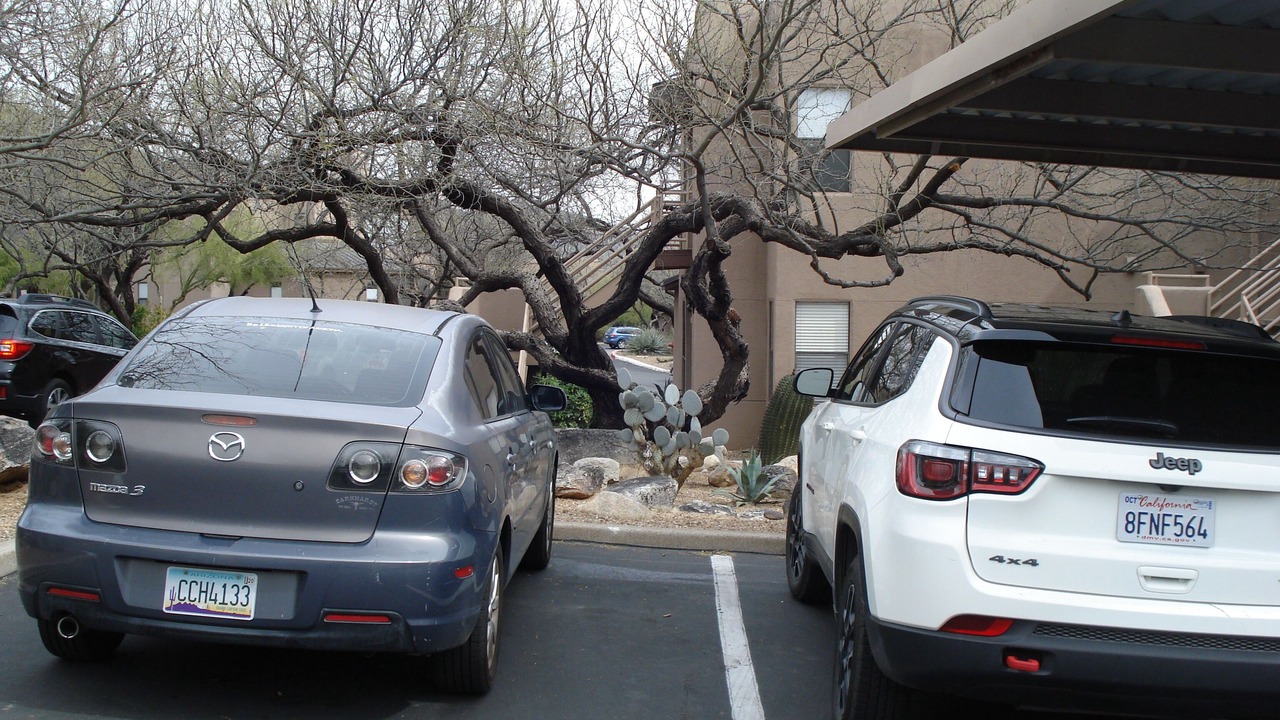 Photo of Others in Tucson
