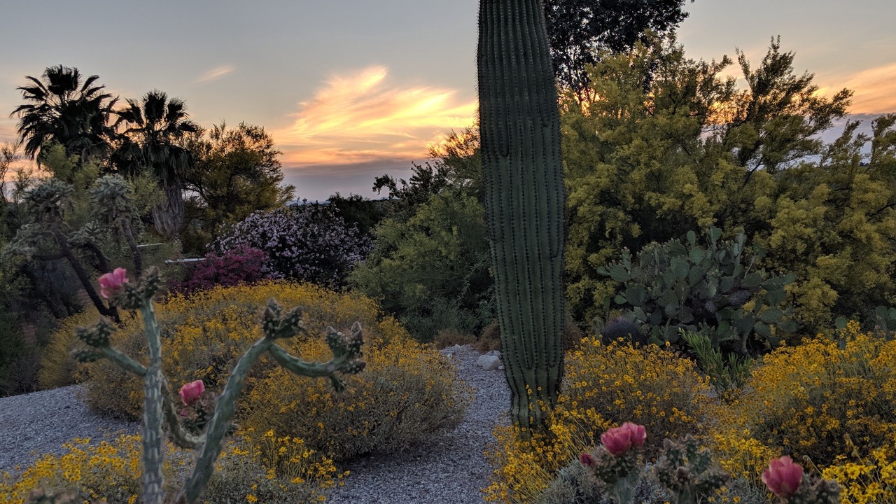 Photo of Outdoor in Oro Valley