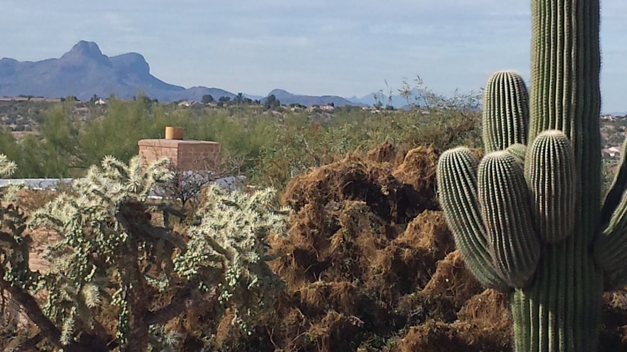 Photo of Outdoor in Oro Valley