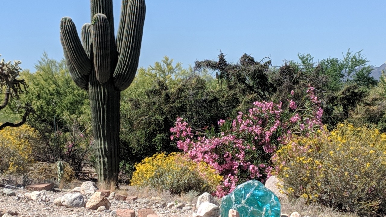 Photo of Outdoor in Oro Valley