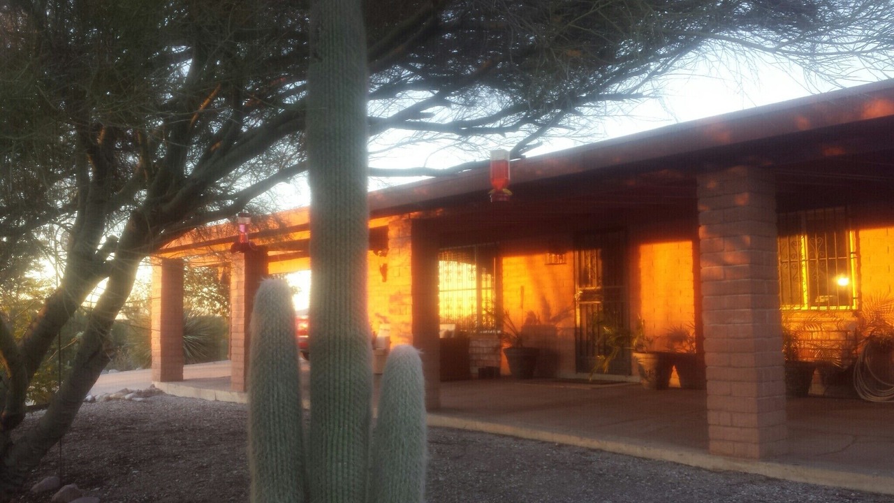 Photo of Outdoor in Oro Valley