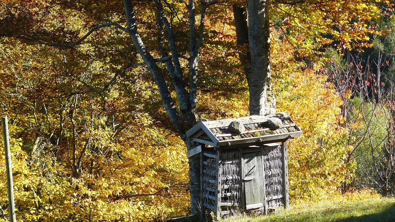 Photo of Outdoor in Sant'Orsola Terme