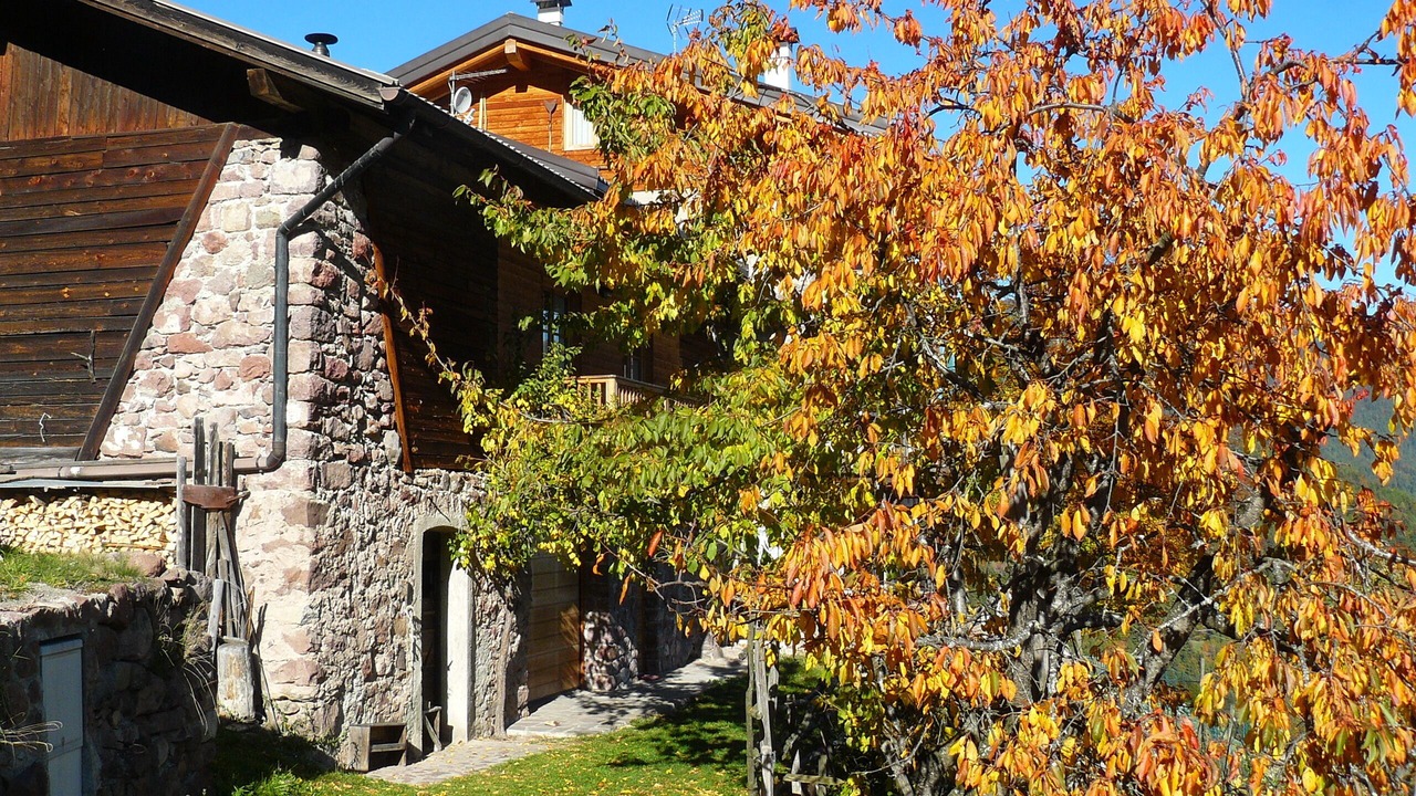 Photo of Outdoor in Sant'Orsola Terme