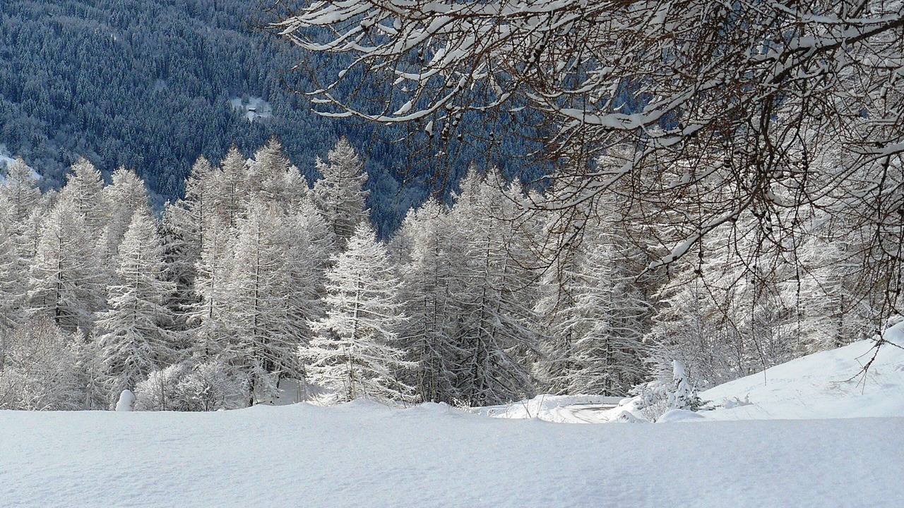 Photo of Others in Sant'Orsola Terme