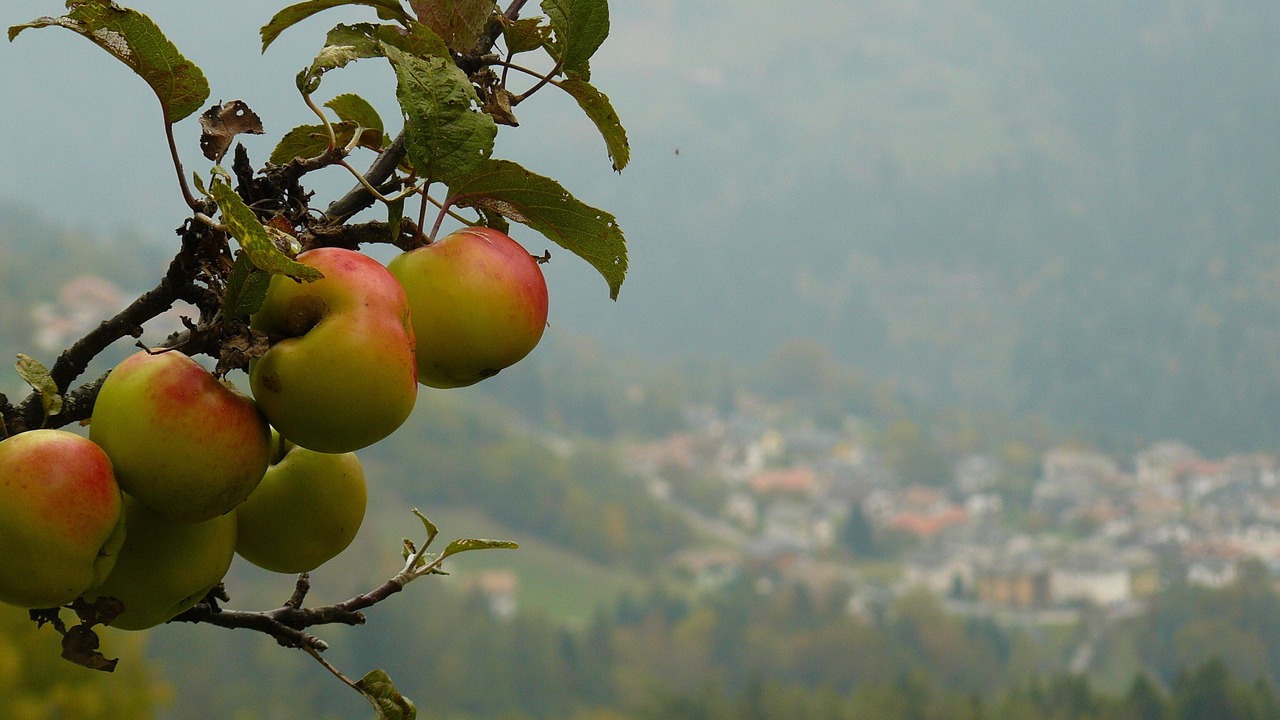 Photo of Outdoor in Sant'Orsola Terme