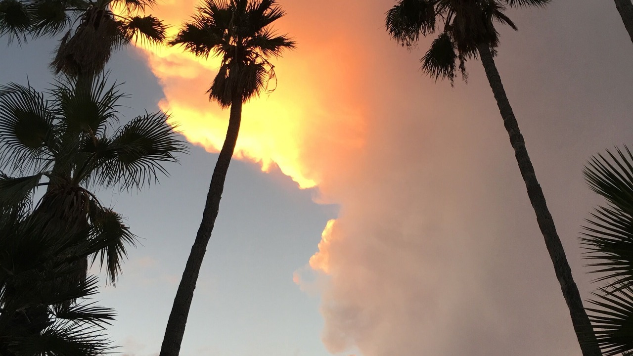 Photo of Outdoor in Catalina Foothills Estates