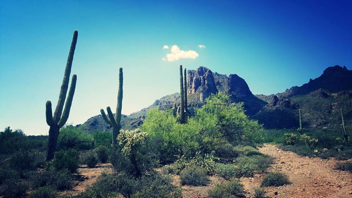 Photo of Outdoor in Mesa del Oro