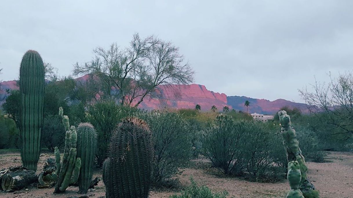Photo of Others in Mesa del Oro