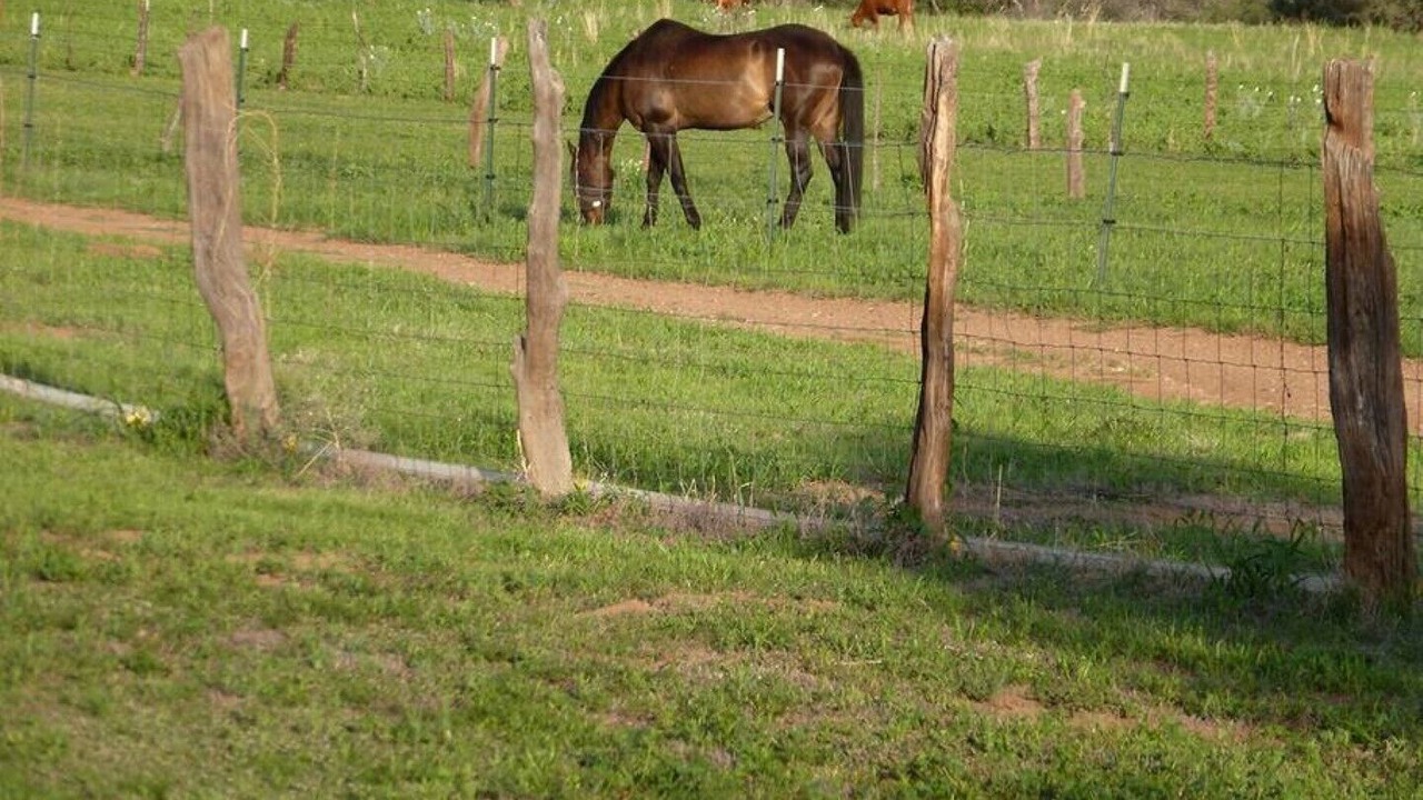 Photo of Outdoor in Pearce