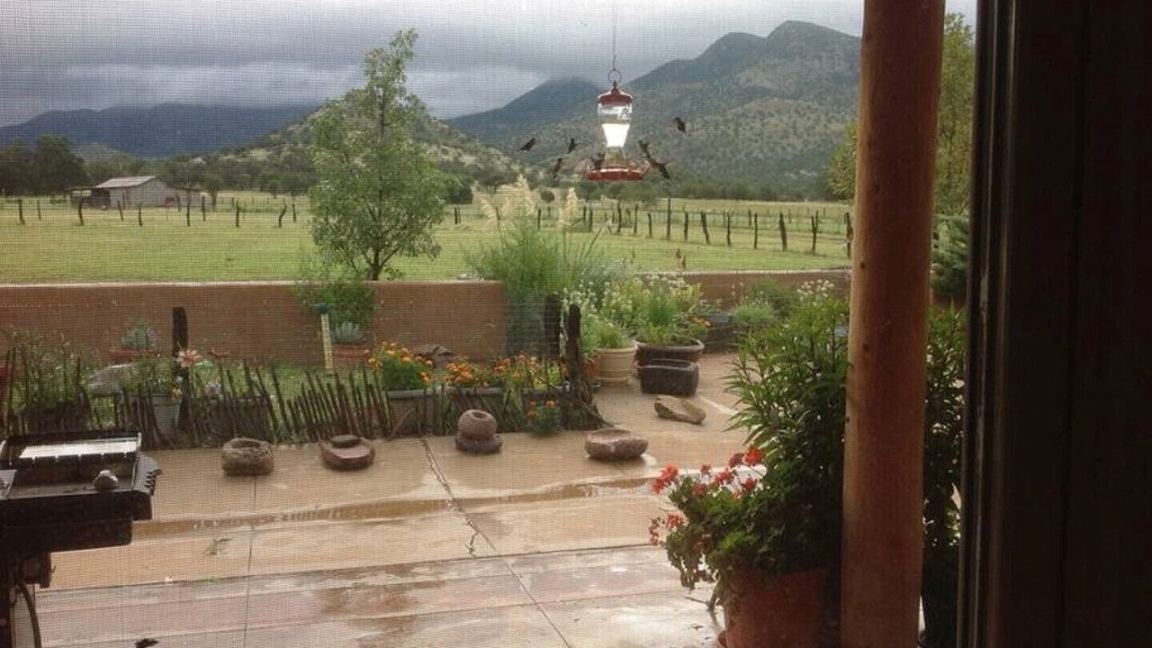 Photo of Patio Balcony in Pearce