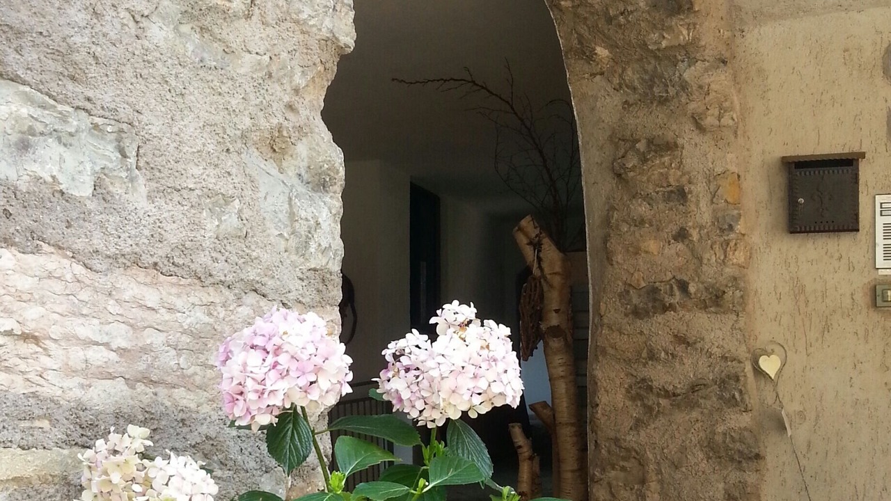 Photo of Outdoor in Ville del Monte