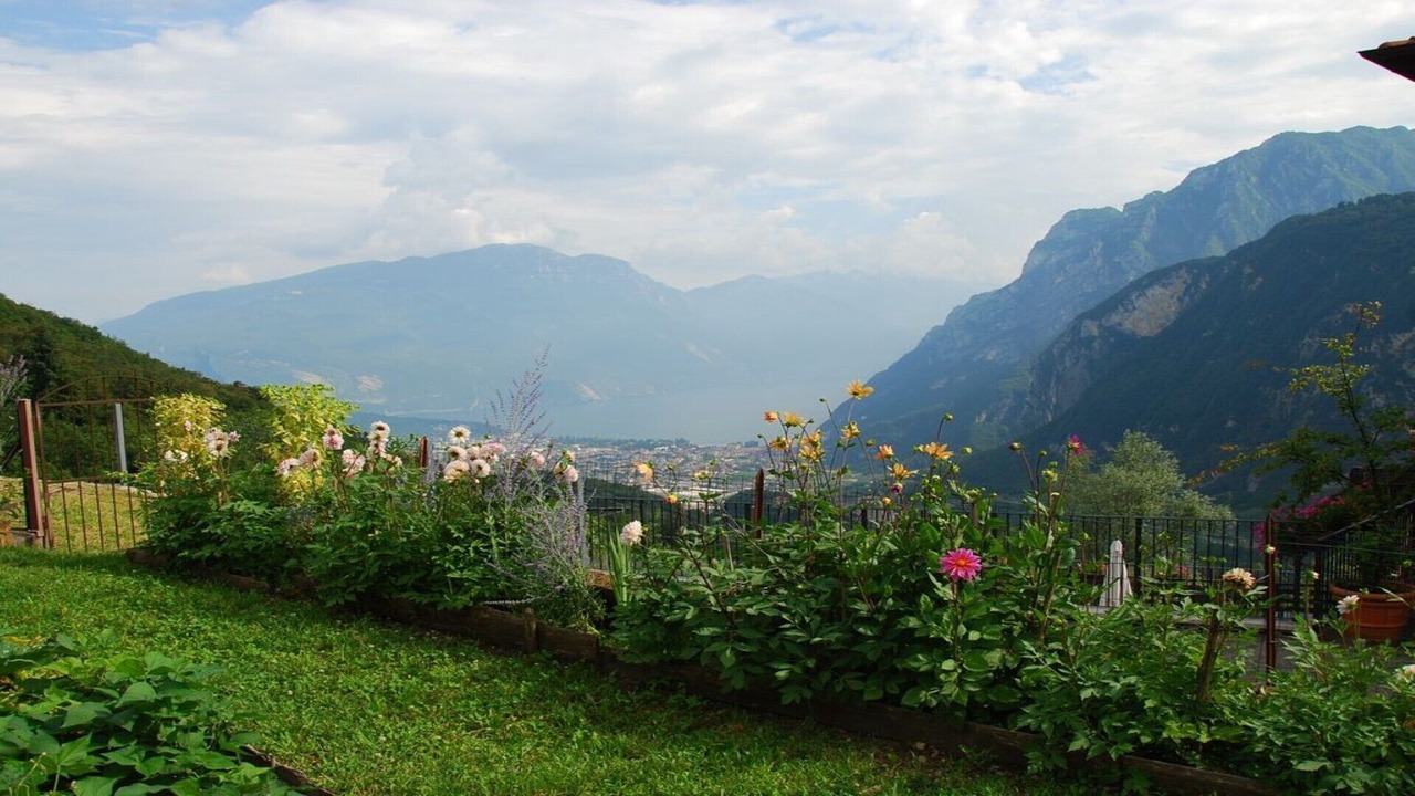 Photo of Outdoor in Ville del Monte