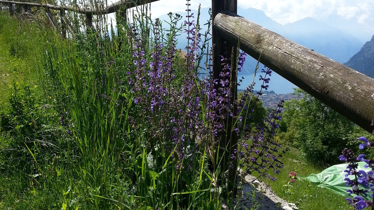 Photo of Outdoor in Ville del Monte