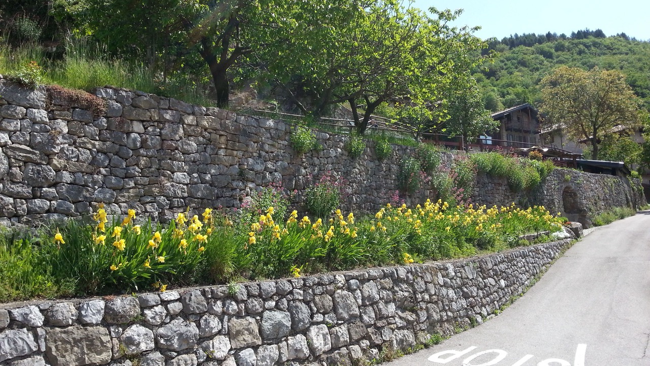 Photo of Outdoor in Ville del Monte