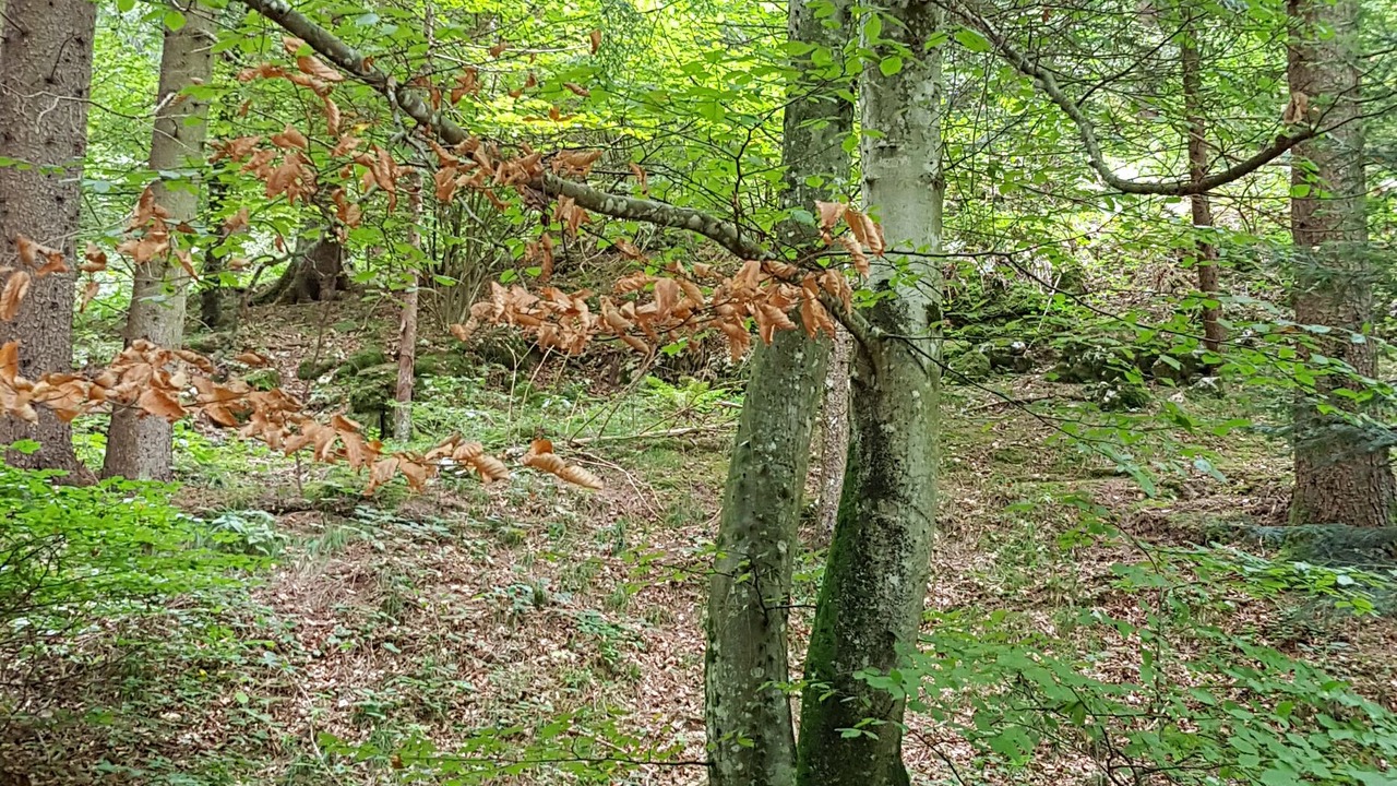Photo of Outdoor in Ville del Monte