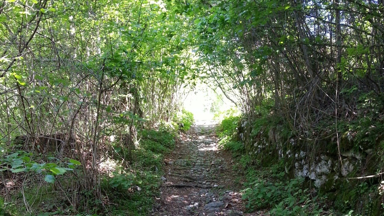 Photo of Outdoor in Ville del Monte