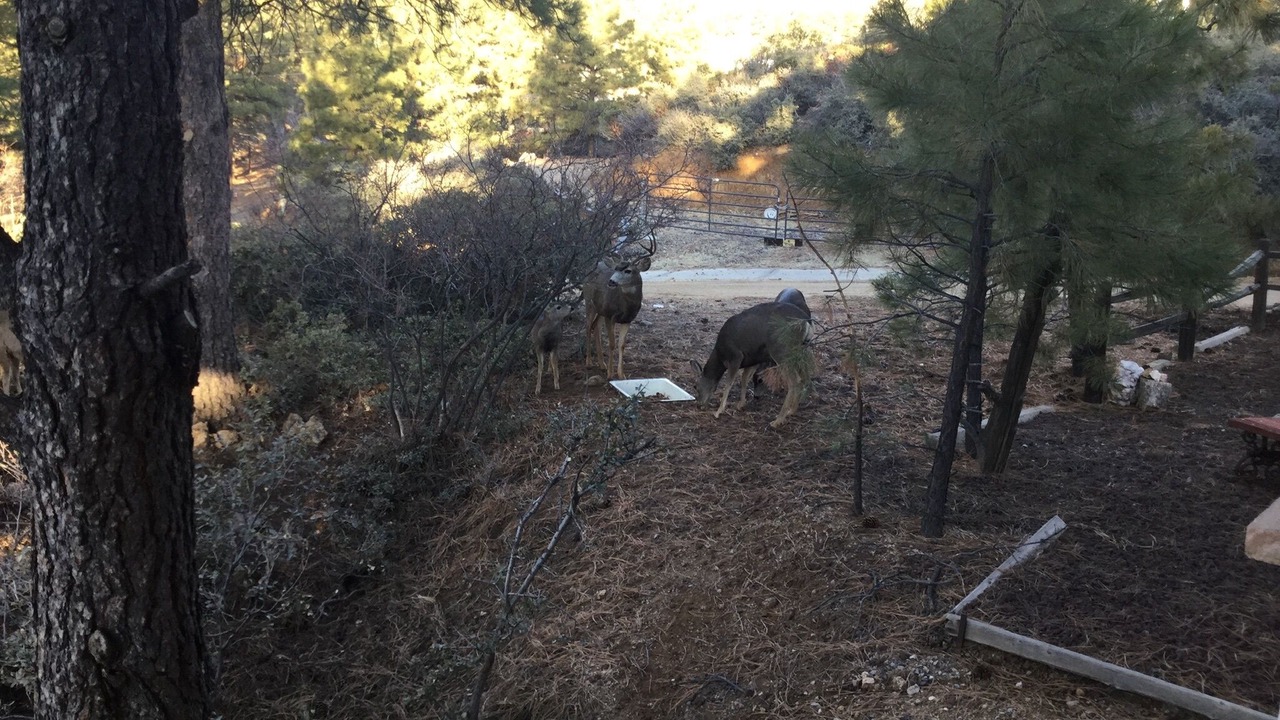 Photo of Outdoor in Kingman