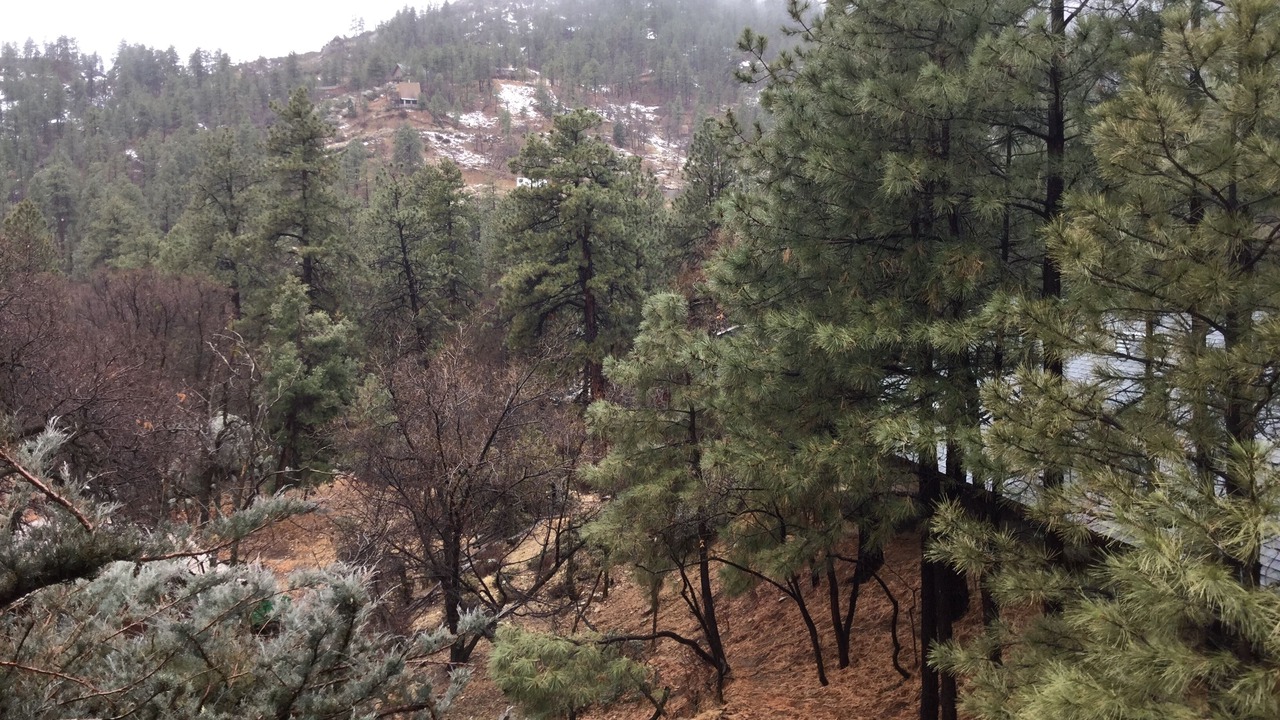 Photo of Outdoor in Kingman