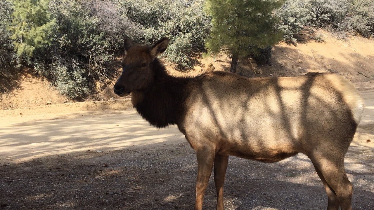 Photo of Outdoor in Kingman