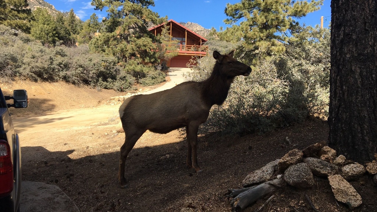 Photo of Outdoor in Kingman