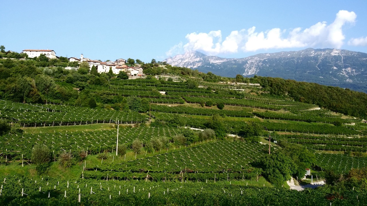 Photo of Outdoor in Rovereto