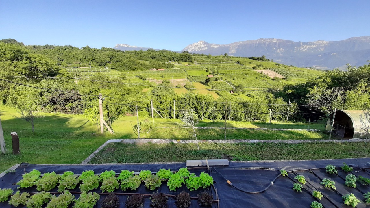 Photo of Outdoor in Rovereto
