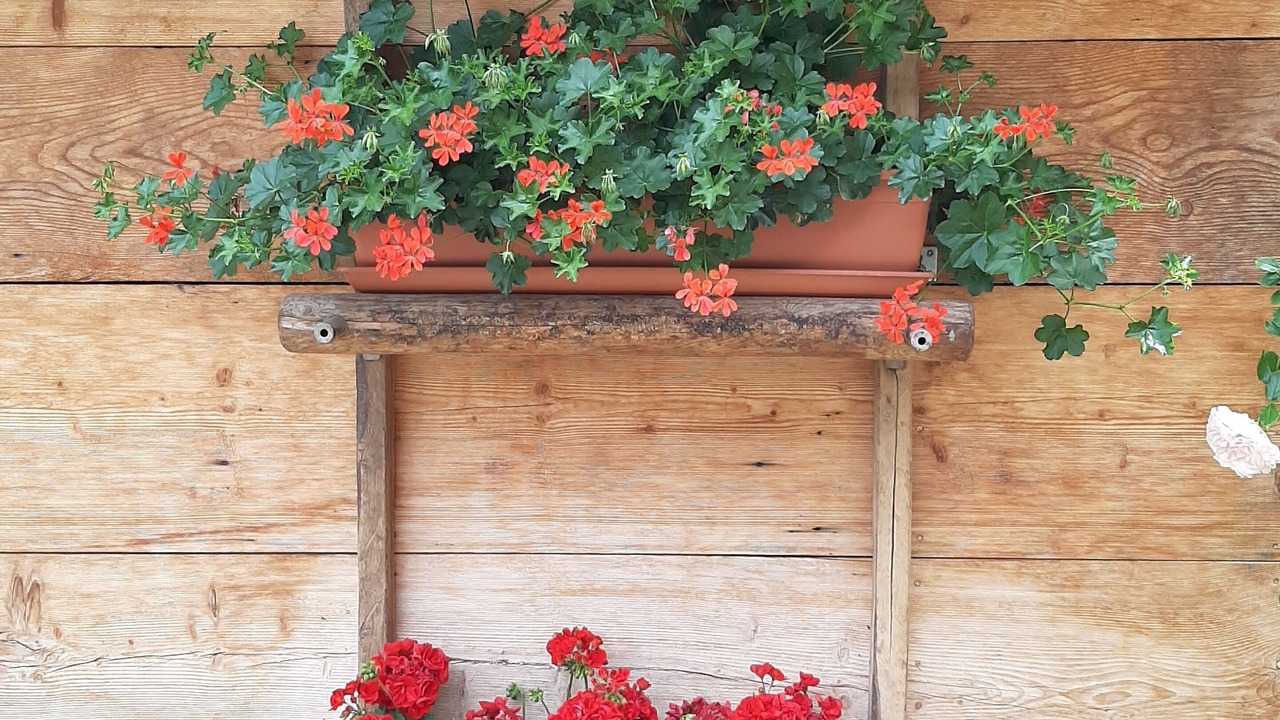 Photo of Outdoor in Rovereto