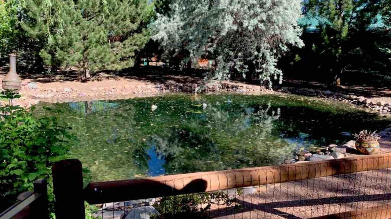 Photo of Outdoor in Heber