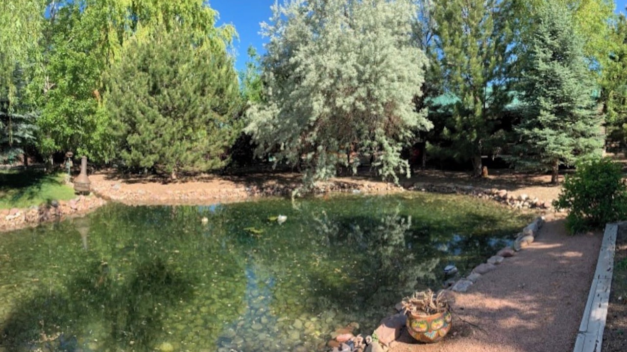 Photo of Outdoor in Heber