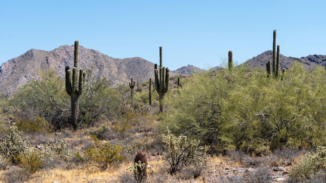 Photo of Outdoor in Paradise Valley Village