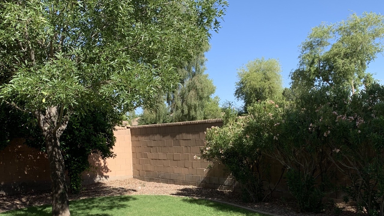Photo of Others in Power Ranch