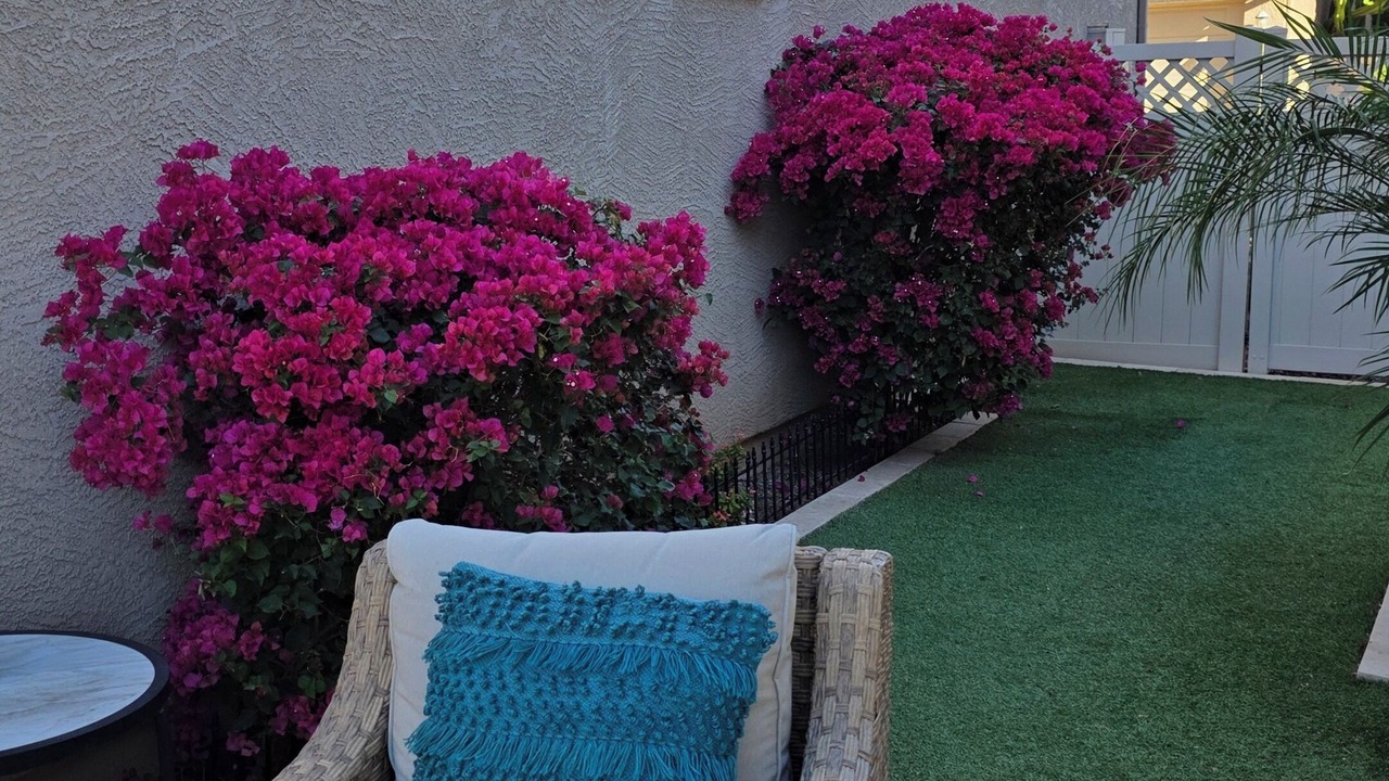Photo of Patio Balcony in Gilbert