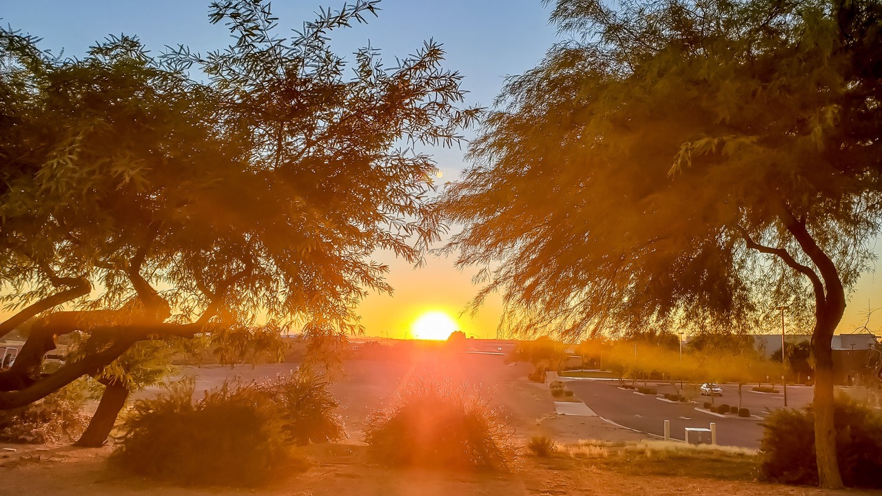 Photo of Others in East Mesa