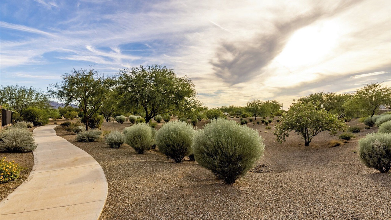 Photo of Outdoor in Gilbert