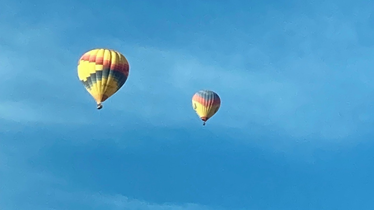 Photo of Others in Sun City West